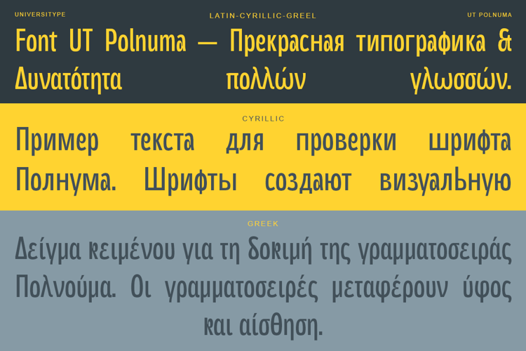 Preview of UT Polnuma Font