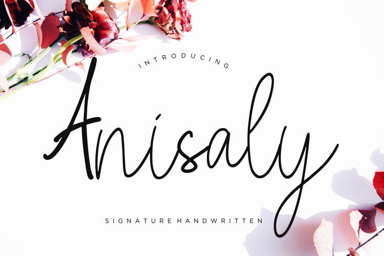 Anisaly Font
