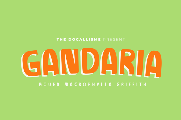 GANDARIA Font