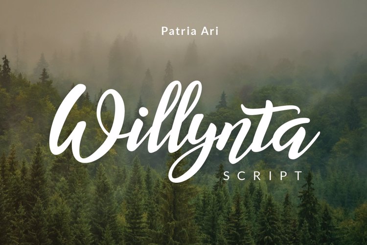 Willynta Script Font