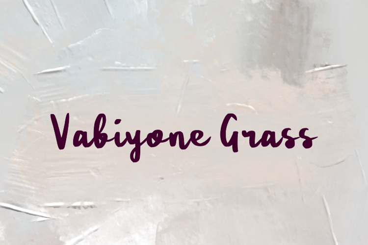 Preview of v Vabiyone Grass Font