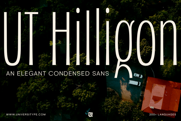 UT Hilligon Font