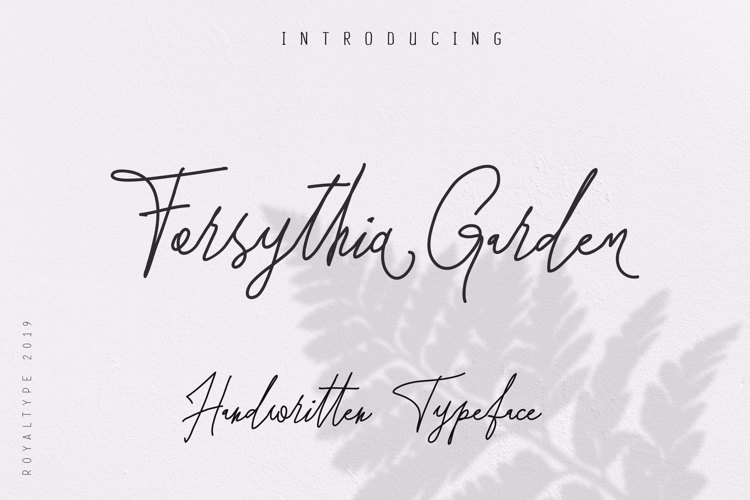 Forsythia Garden Font