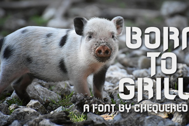 Born to Grille Font