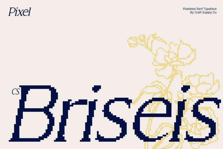 Preview of CS Briseis Pixel Font