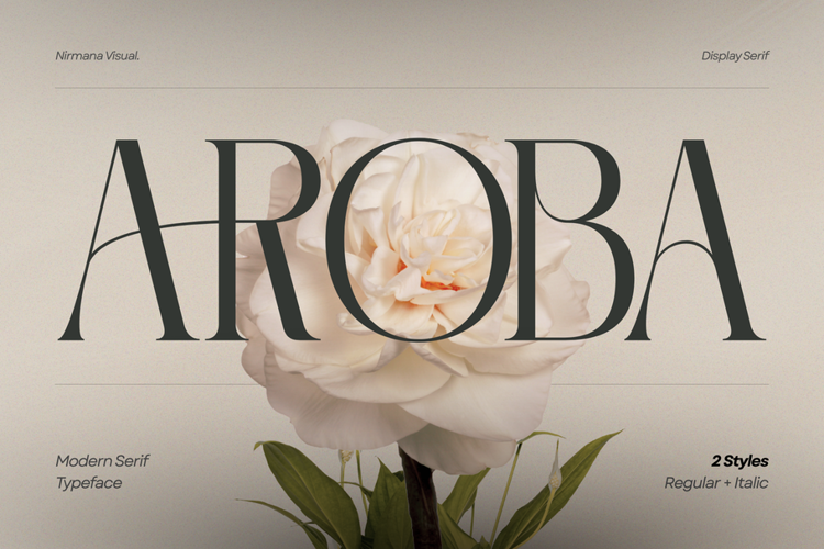 Preview of Aroba Modern Font