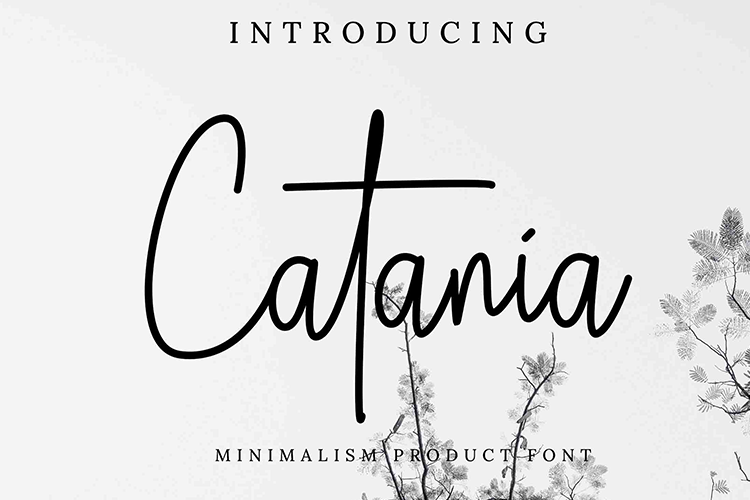 Catania Font
