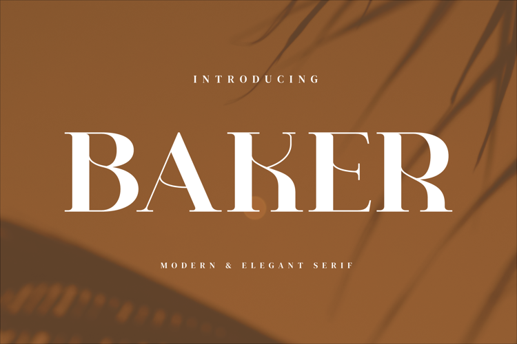 Preview of Baker Font
