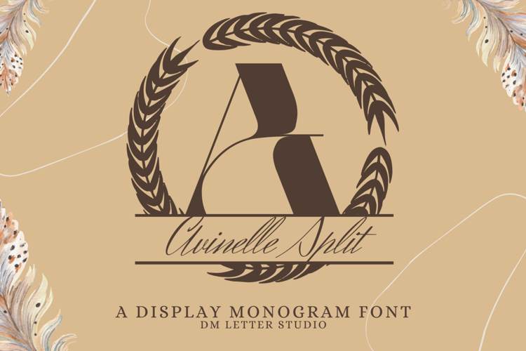 Preview of Avinelle Split Monogram Font
