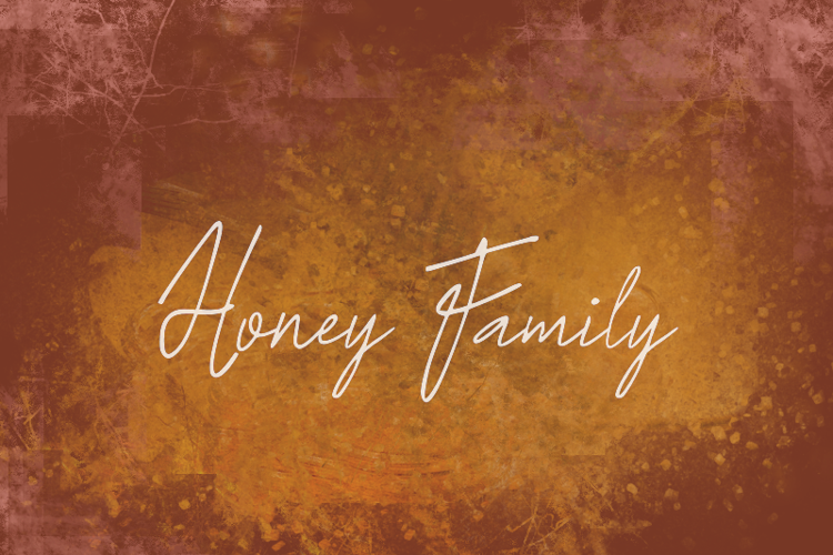h Honey Family Font