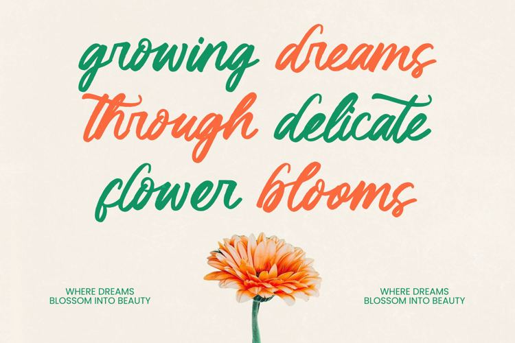 Preview of Klaribela VERSION Font