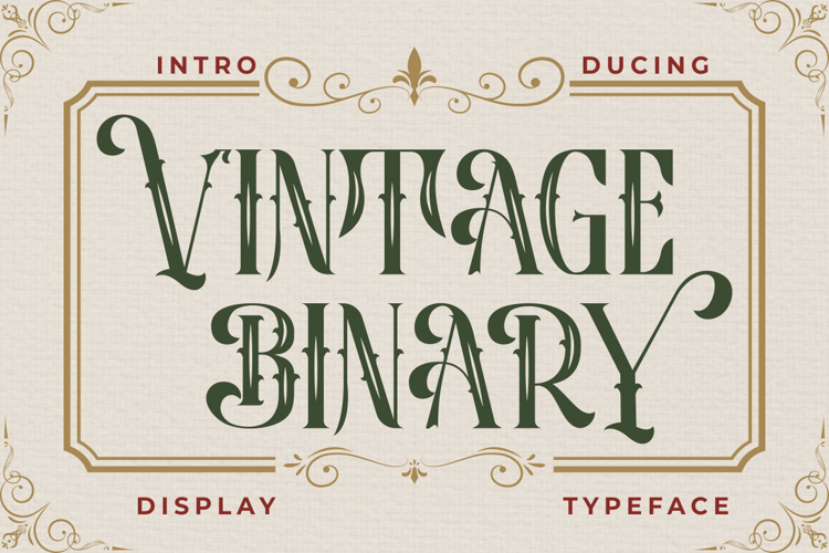 Vintage Binary Font