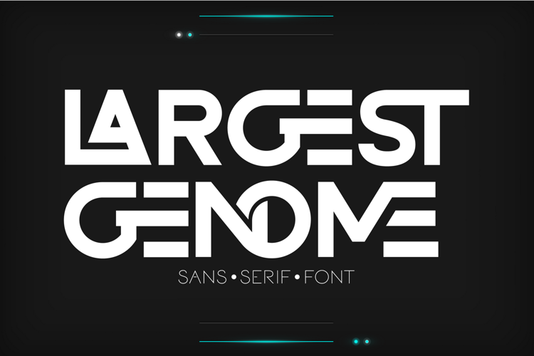 Preview of LARGEST GENOME Font