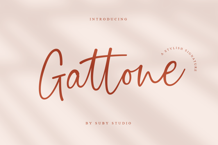 Gattone Script Font
