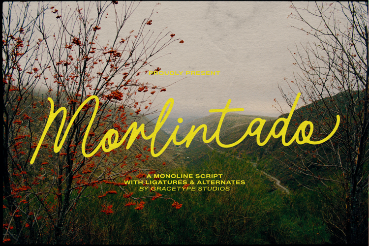 Preview of Morlintado Font