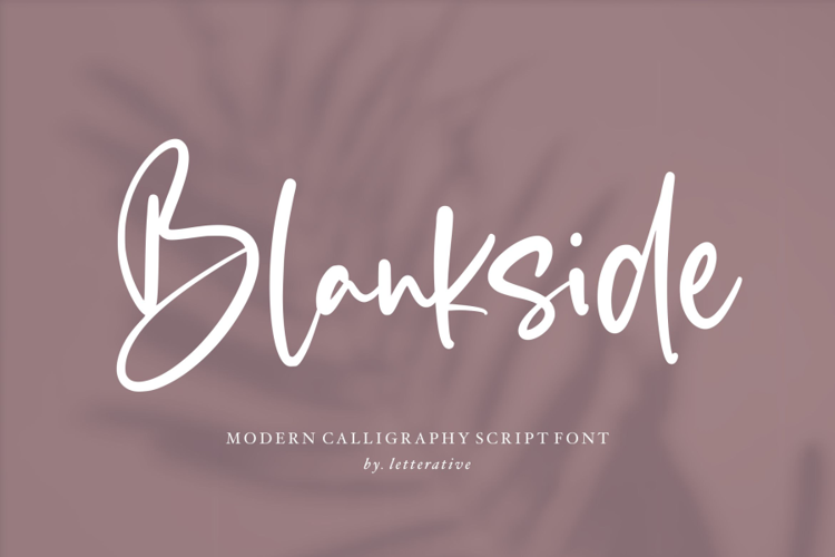 Blankside Font