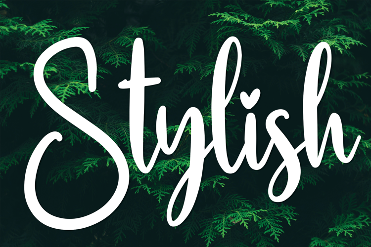 Stylish Font