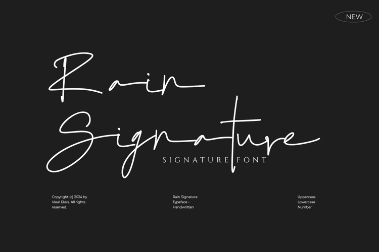 Rain Signature Font | idealeksis | FontSpace