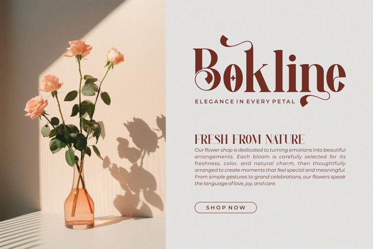 Preview of Vendita Font