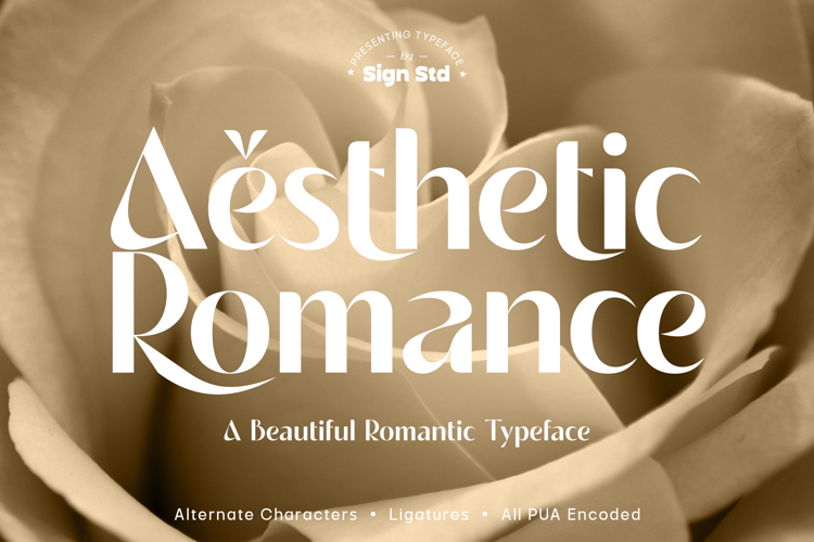 Aesthetic Romance Font