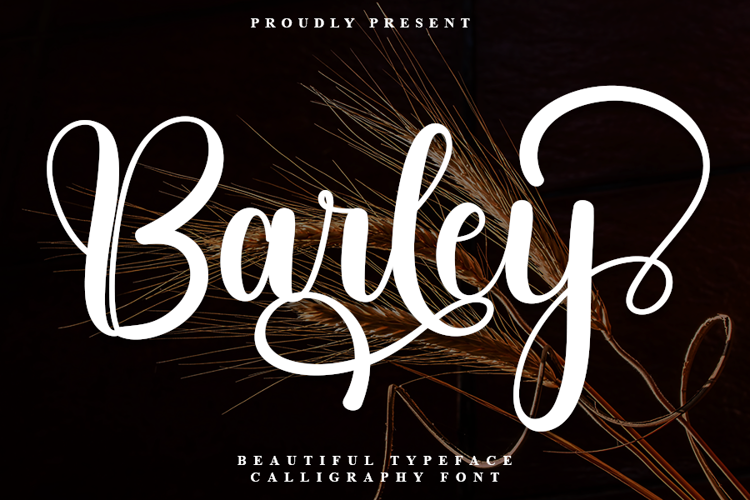 Barley Font