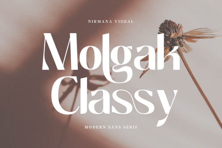 Molgak Classy Font