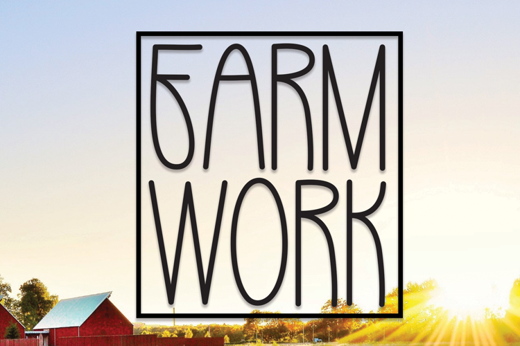 Farm Work Font