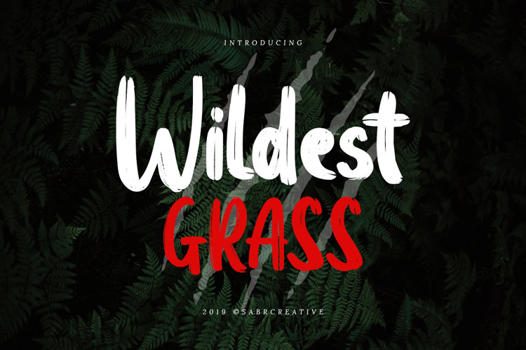 Wildest Grass Font