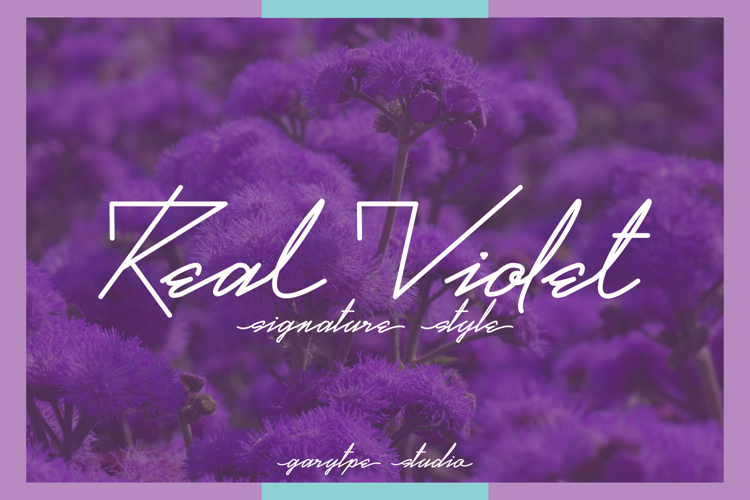Real Violet Font