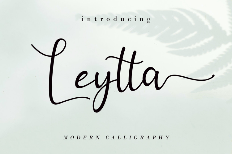 Leytta Font