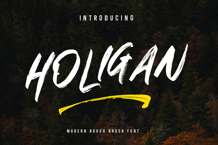 HOLIGAN Font