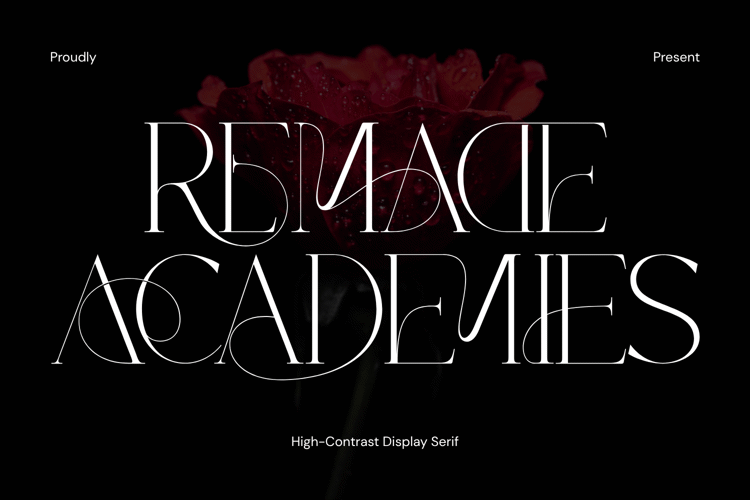 Preview of REMADE ACADEMIES Font