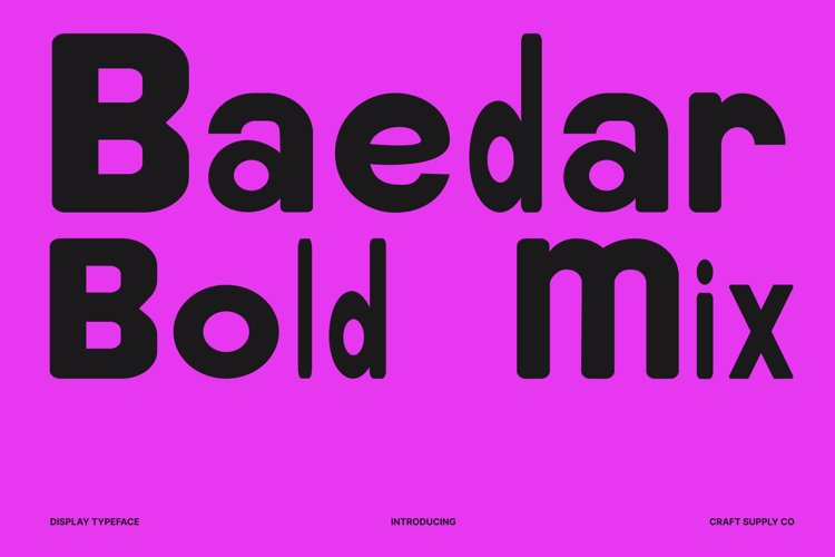Preview of Baedar Mix Font
