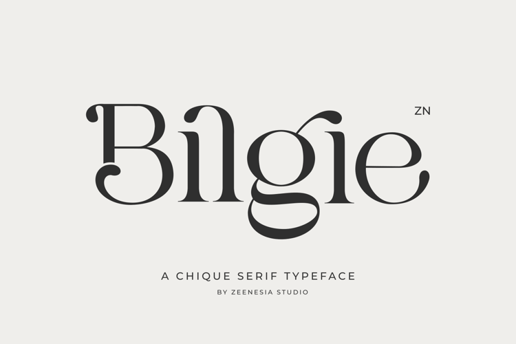 Bilgie Only Font