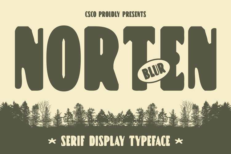 Norten Blur Font