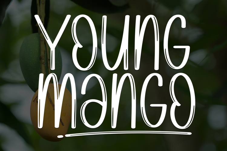 Preview of Young Mango Font