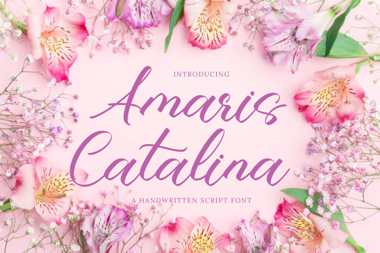 Amaris Catalina Font