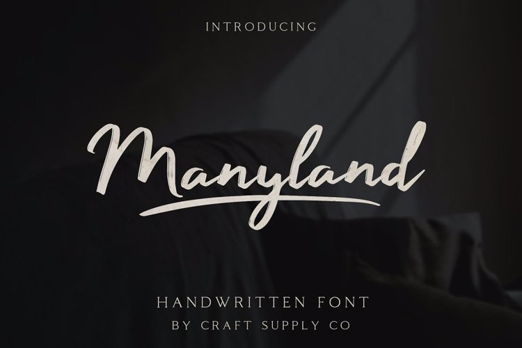 Manyland Font