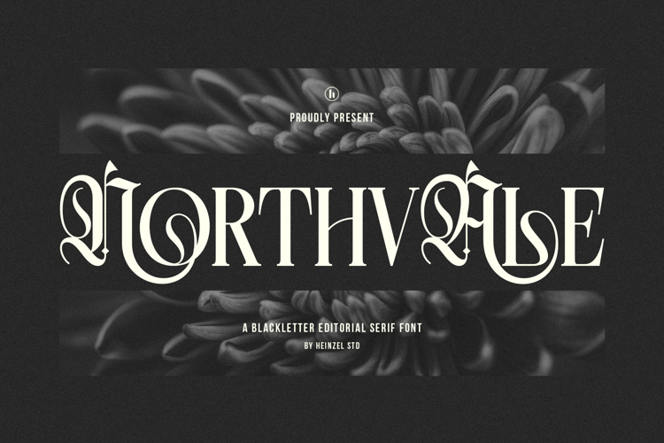 Preview of Northvale Font