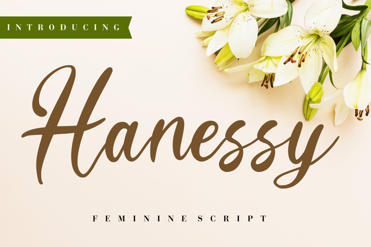 Hanessy Font