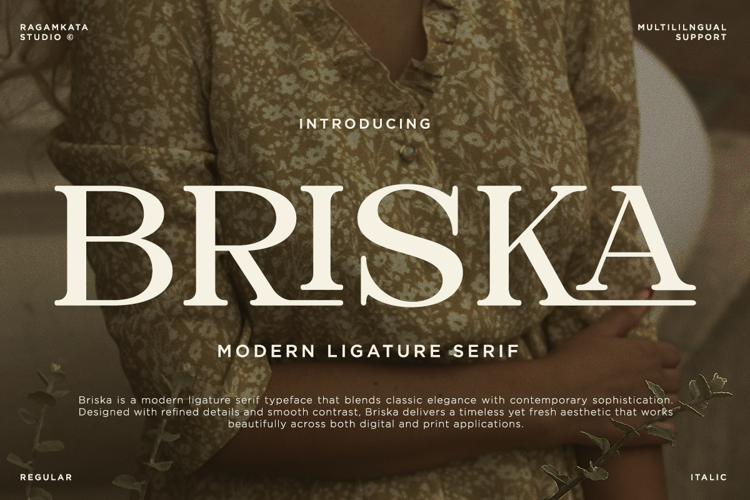Preview of Briska Font
