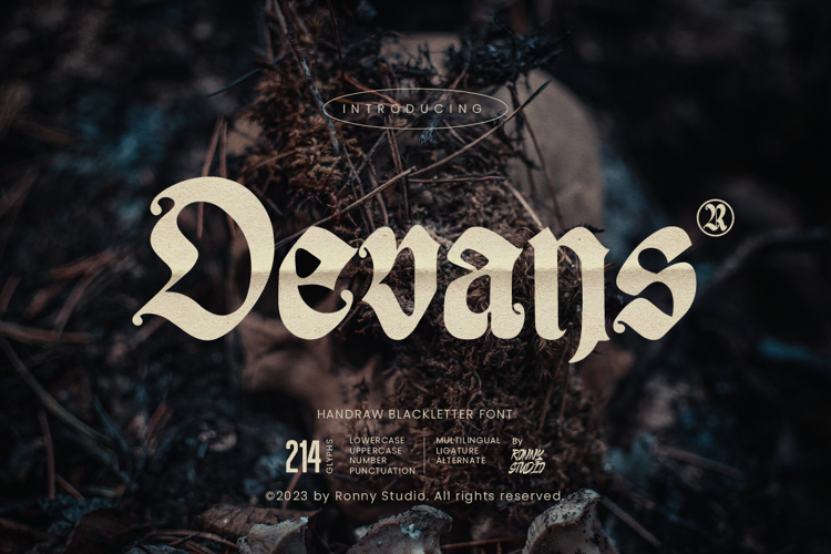 Devans Font