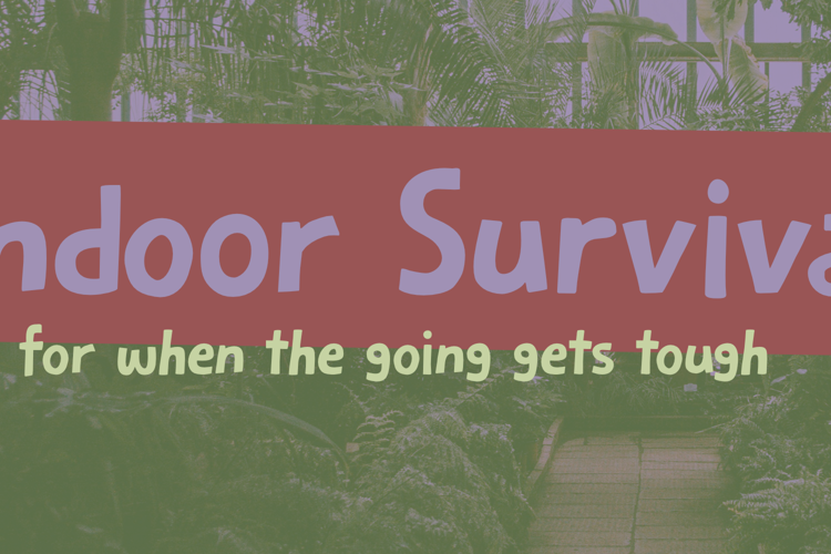 Preview of Indoor Survival Font