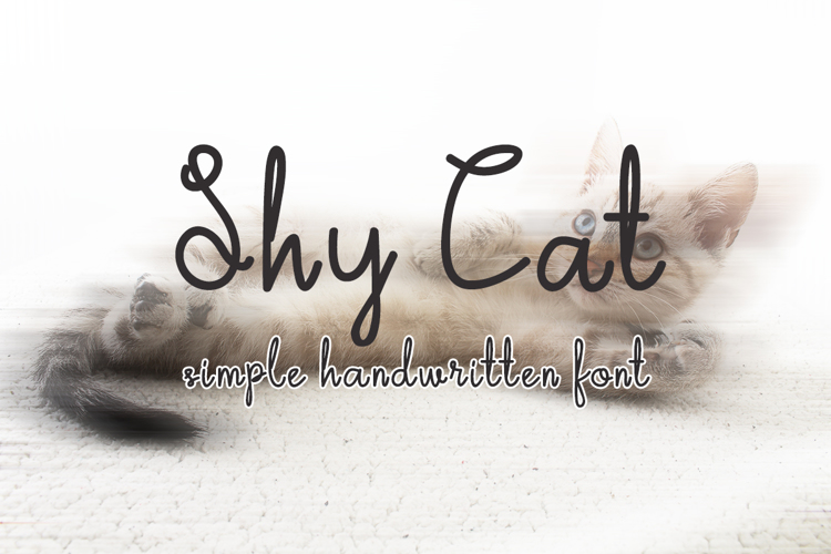 Shy Cat Font