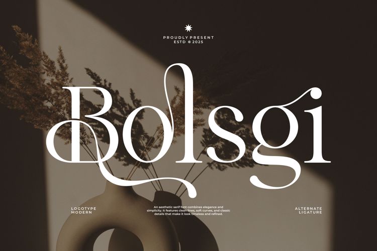 Preview of Bolsgi Font