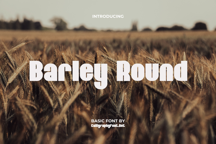 Barley Round Font