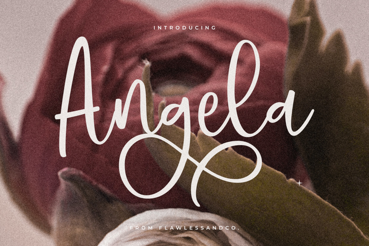 Hello Angela Font