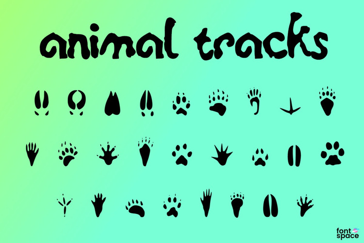 animal tracks Font