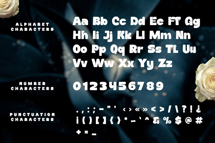 Preview of Daffiys Font