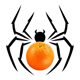 SpideRaYsfoNtS